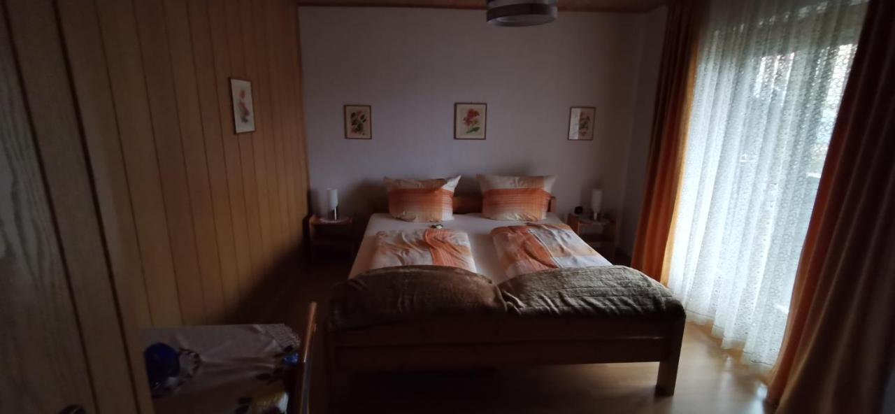 Haus Anton Διαμέρισμα Zwiesel Εξωτερικό φωτογραφία